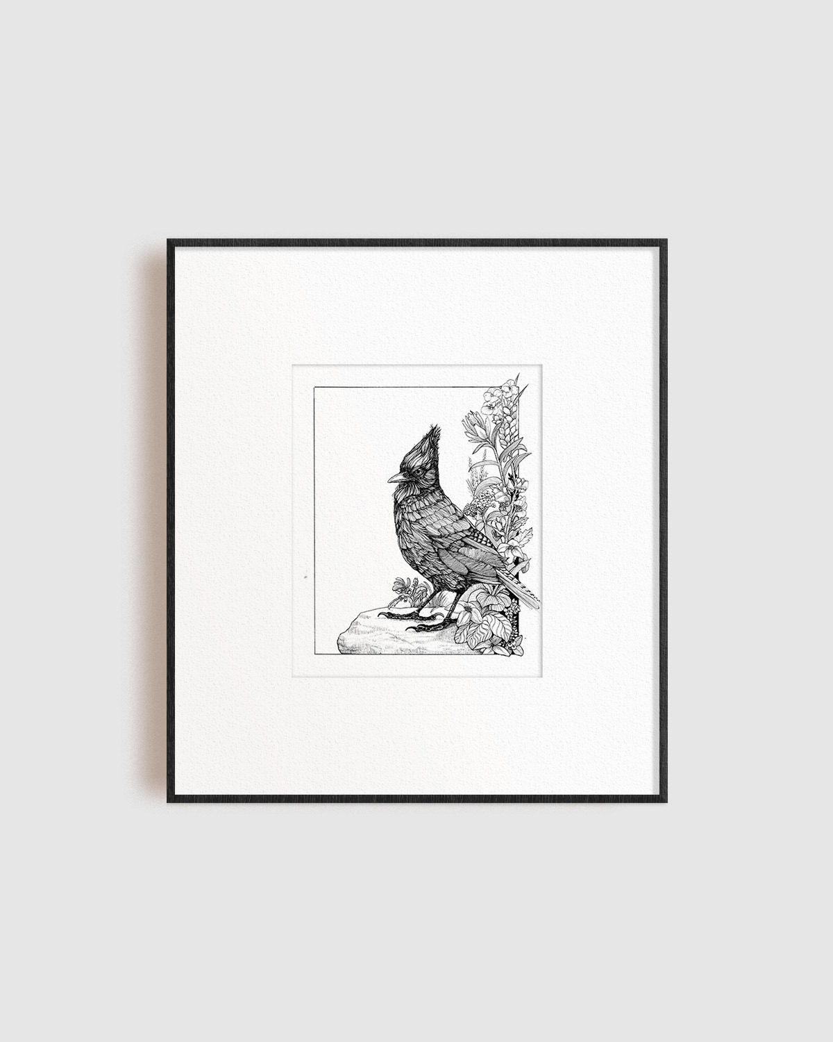 Longstride Illustration | Pen and Ink Illustrator | Birds and Nature