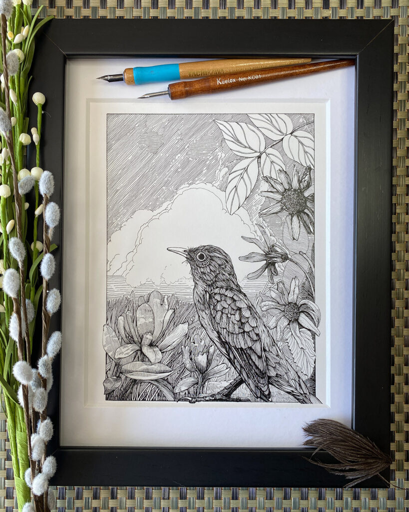 Mockingbird pen and ink drawing in a frame