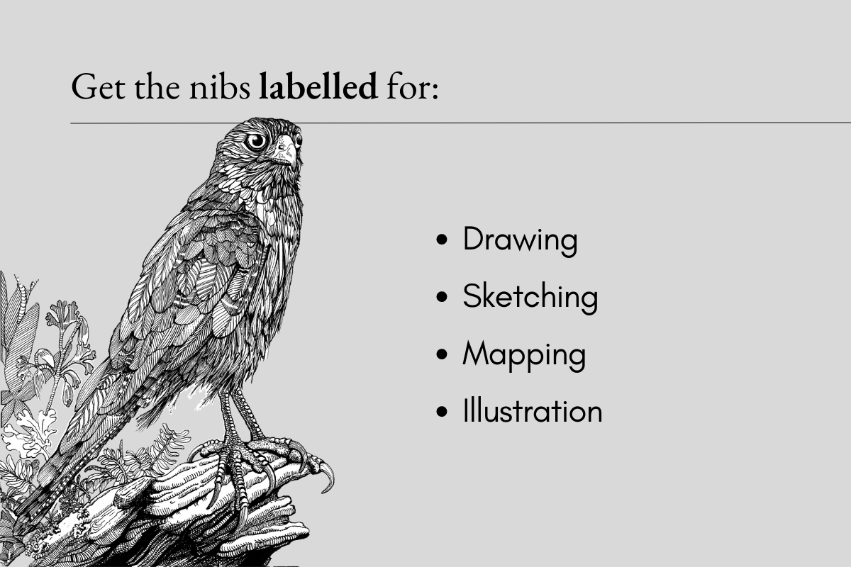 Image for types of nibs that are best for drawing