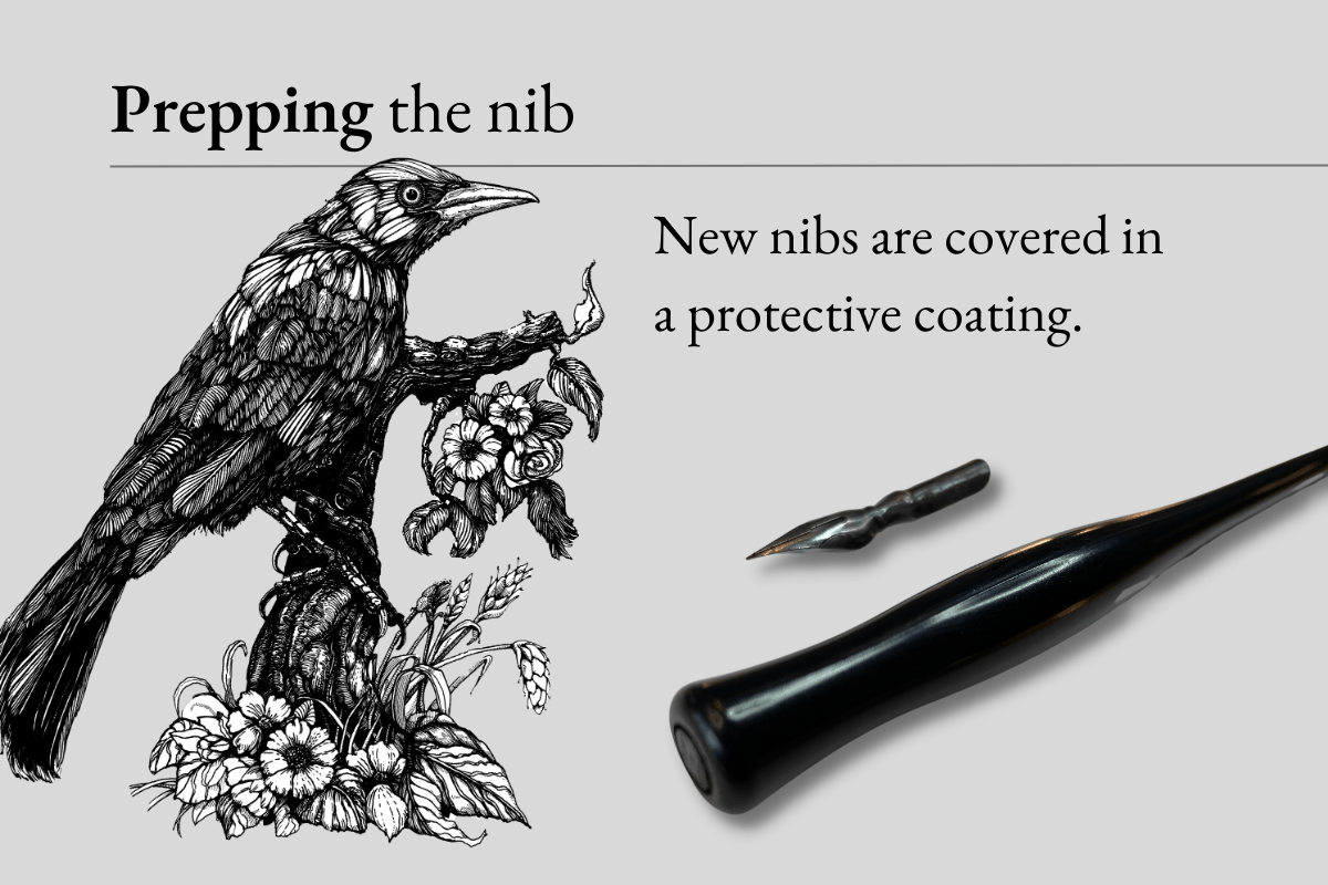 Image that describes how to prep new nibs