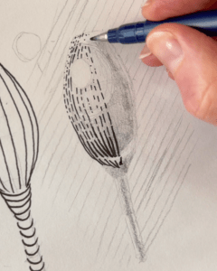 Shading a rosebud with broken lines