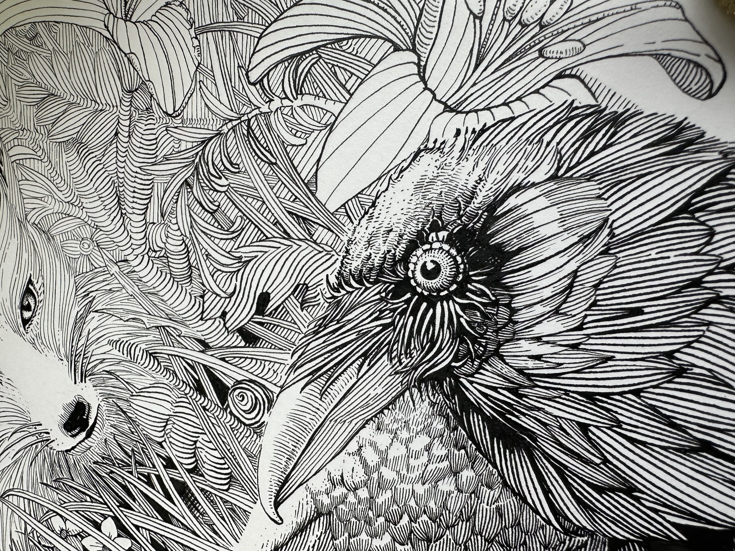 Line illustration of a raven's head