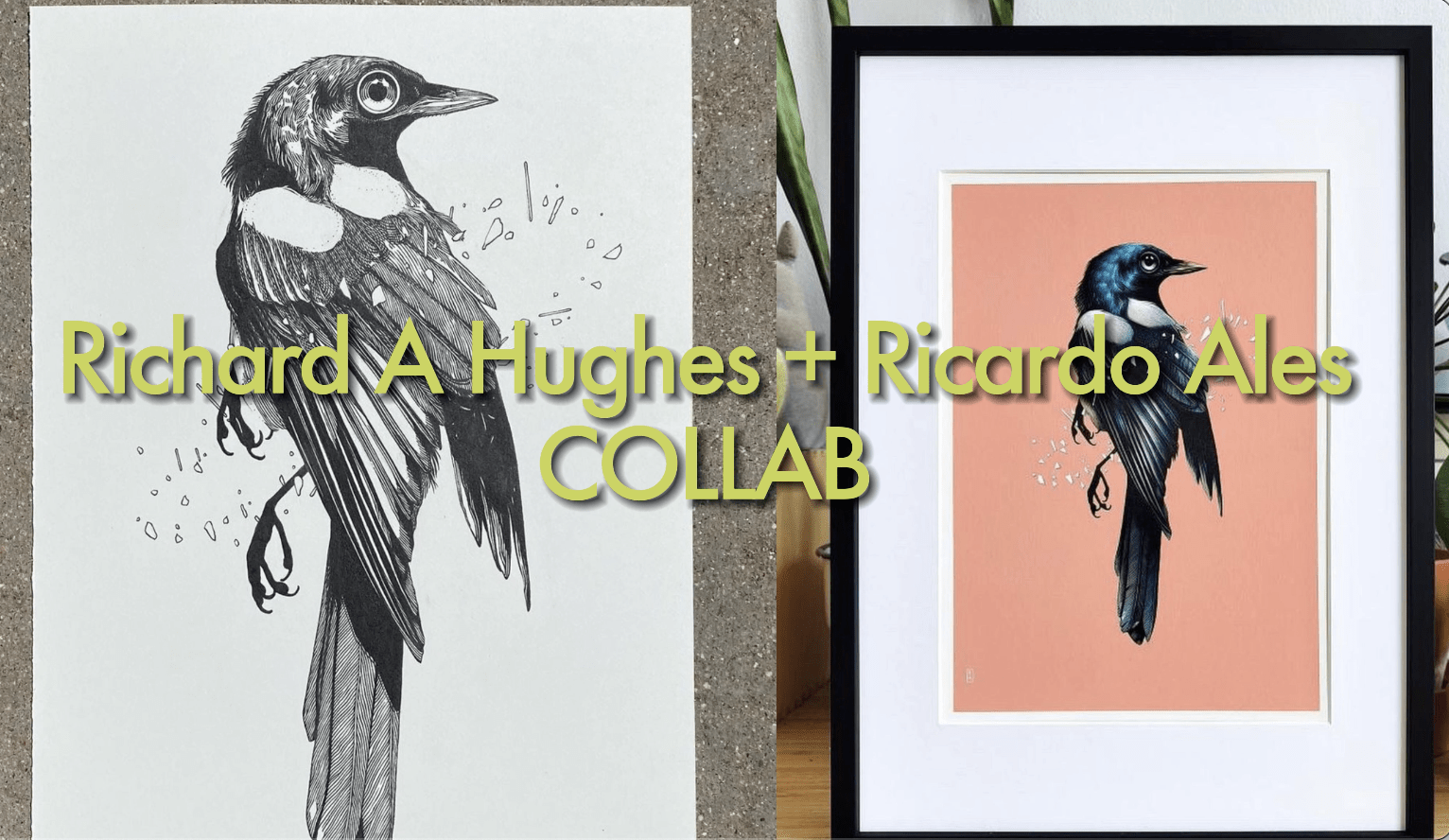 Painter collaborates on a pen and ink bird illustration