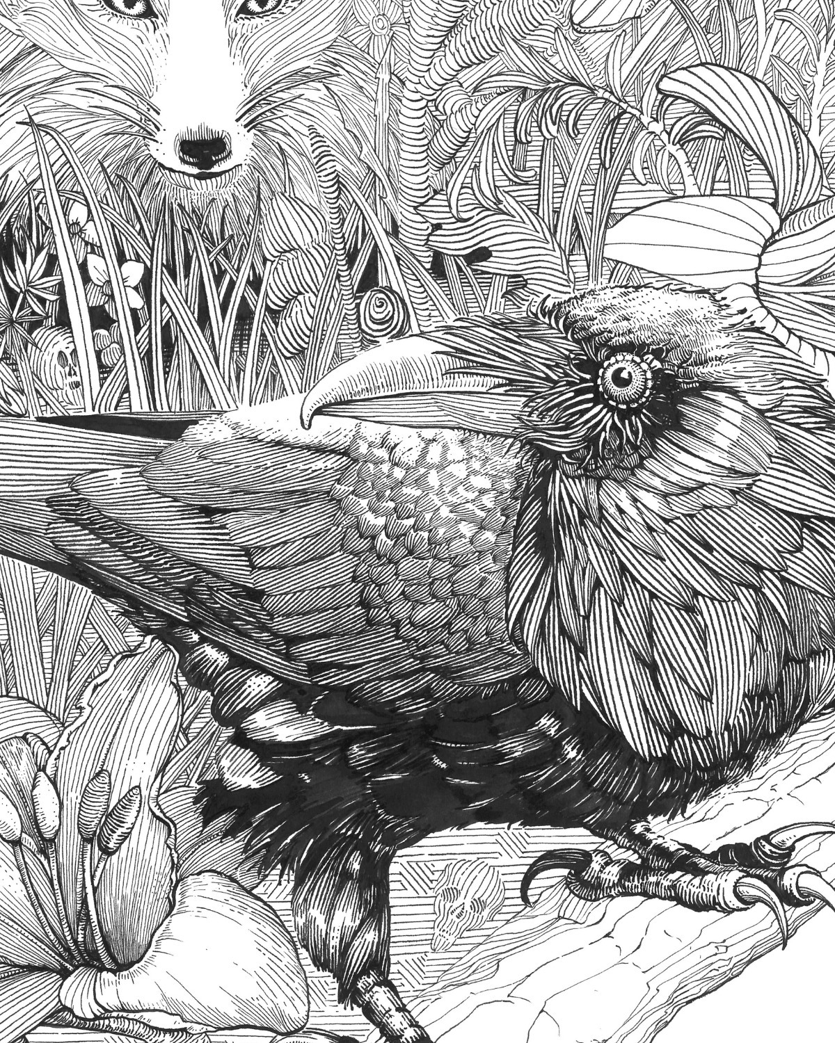 Closeup of illustration of fox and crow