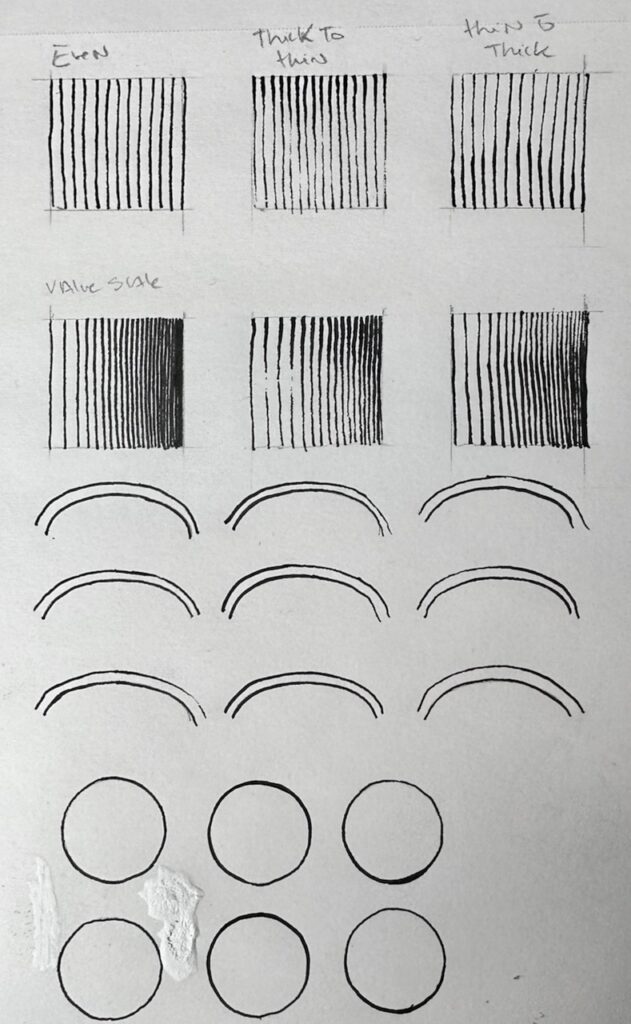 How-to-draw-orchid-Values