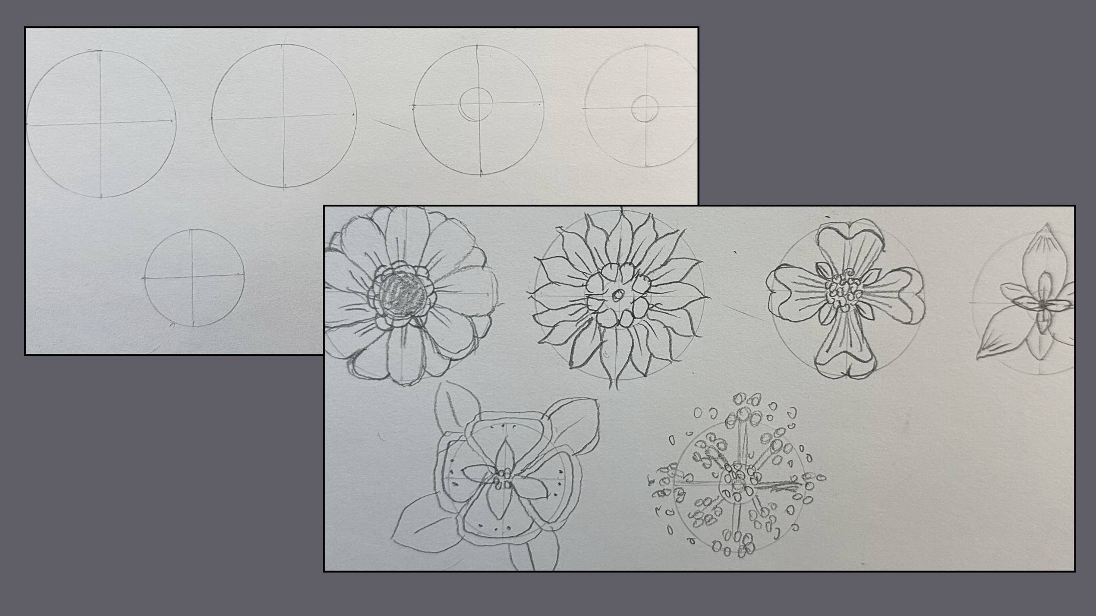 How-to-draw-Flowers