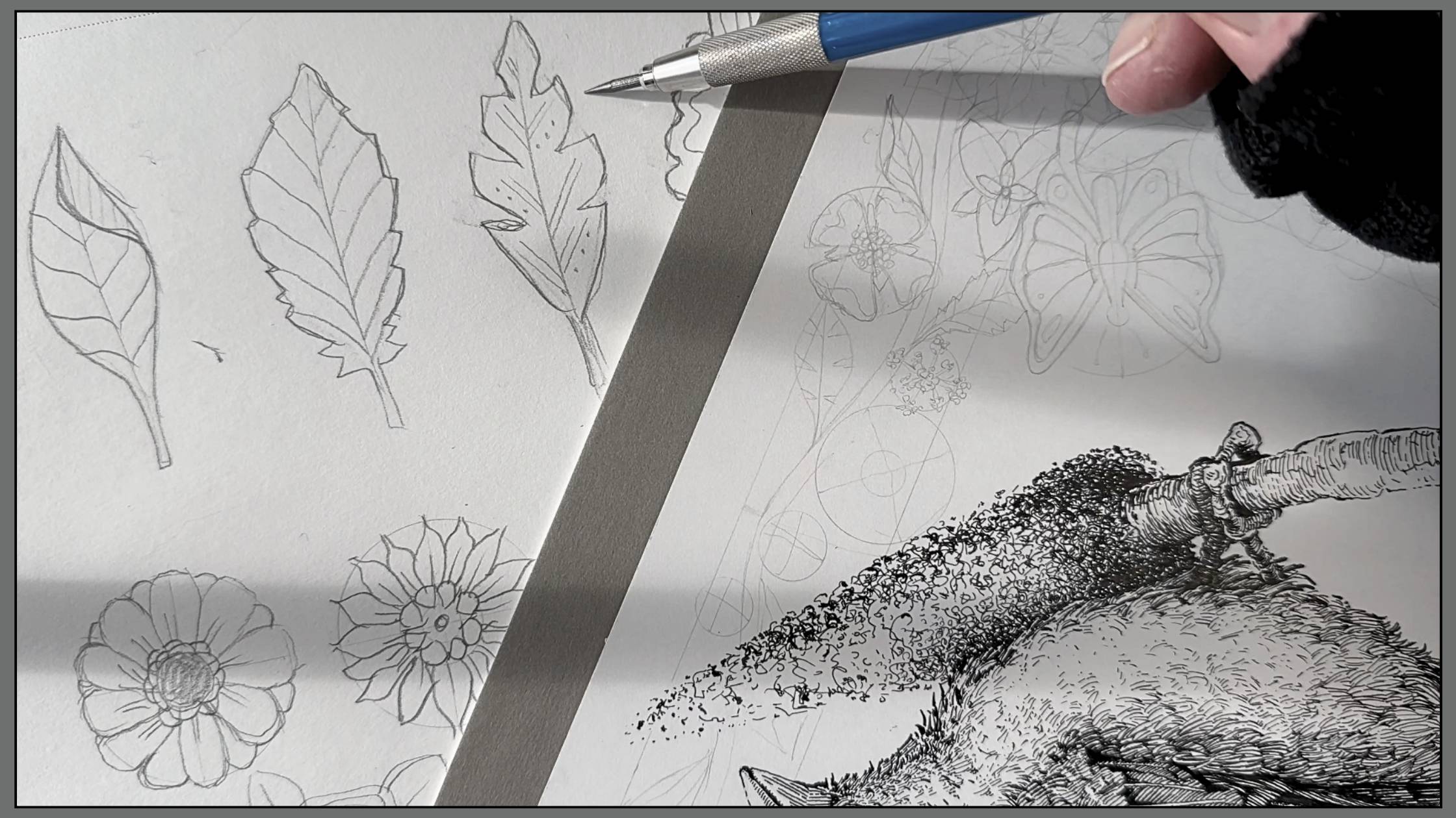 How-to-draw-basic-leaves