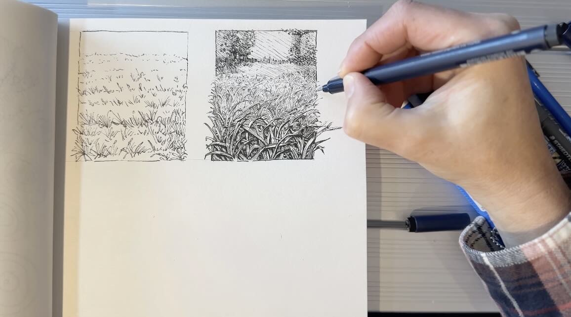 Grass-drawing-thumbnail