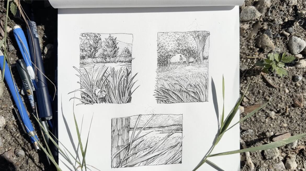 Grass-thumbnail-sketches