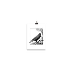 Investigating Crow - Image 2