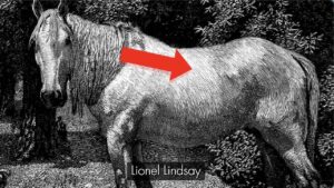 Lindsay-Scratchboard-Technique