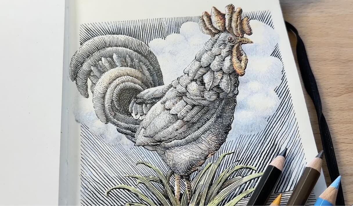 Etching-Style-Rooster-Coloured