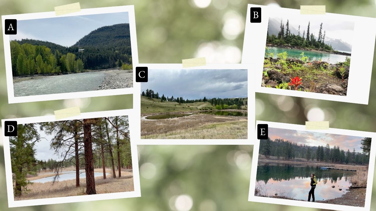 five-reference-options