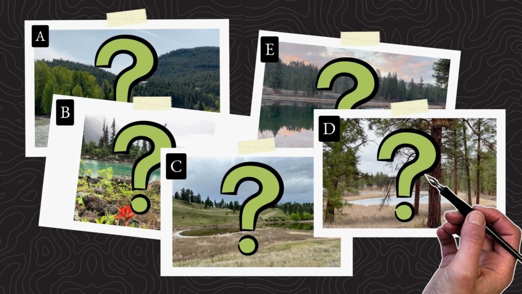 How-to-pick-references-Blog