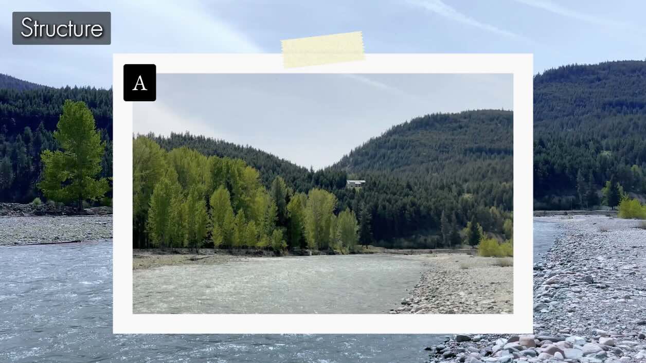 Landscape-Structure-A