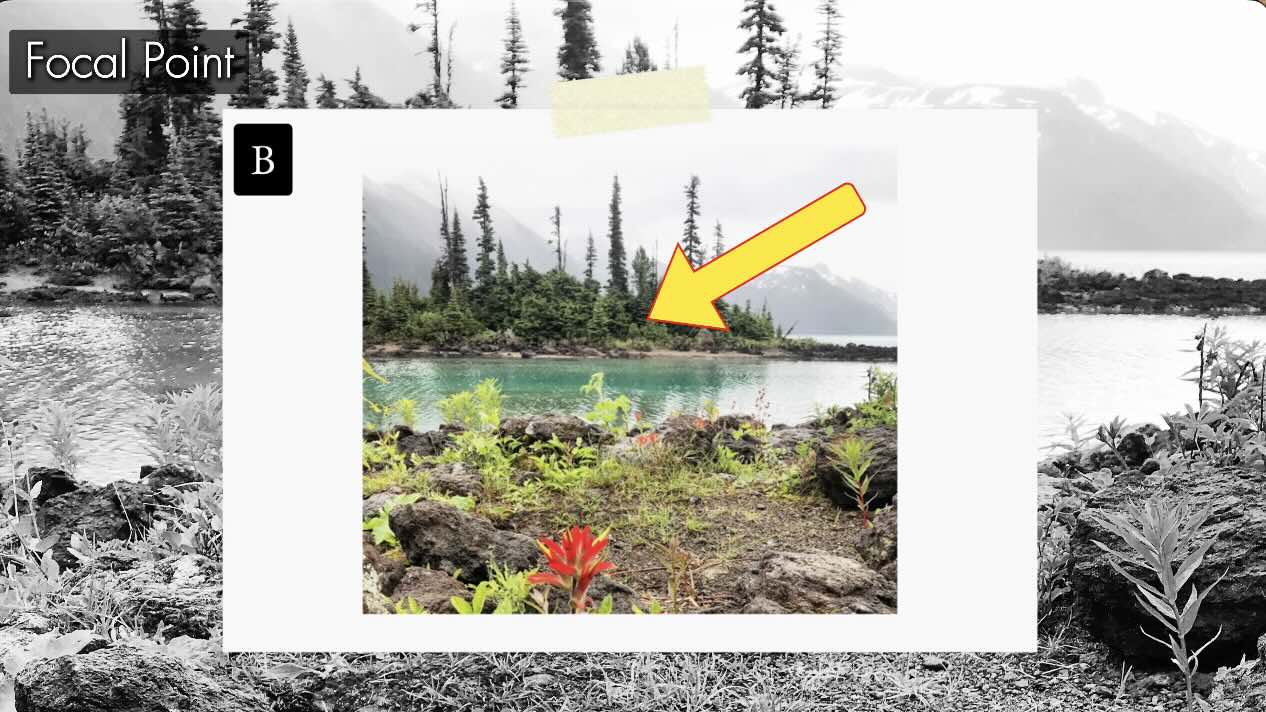 Focal-Point-Reference-B