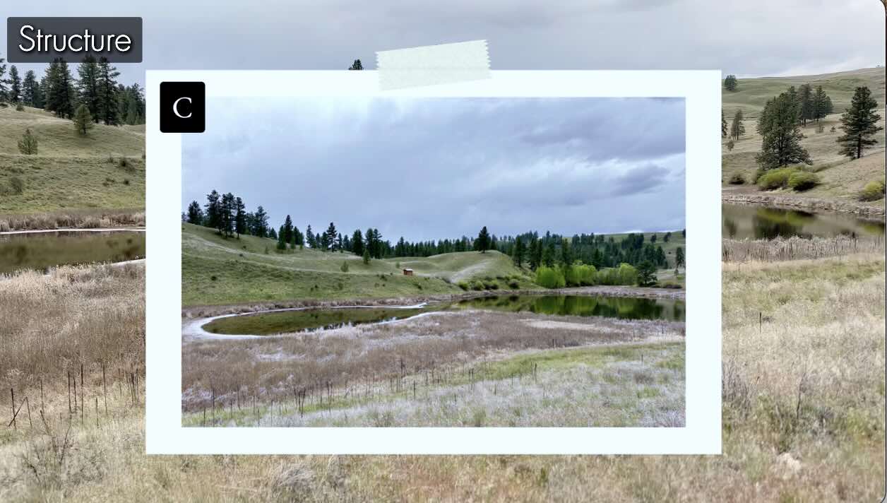 Structure-Reference-C