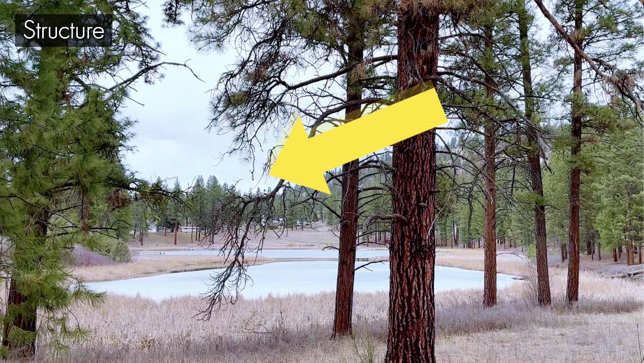 Background-Reference-D