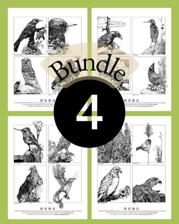 Bird-Mix-Bundle-Pack