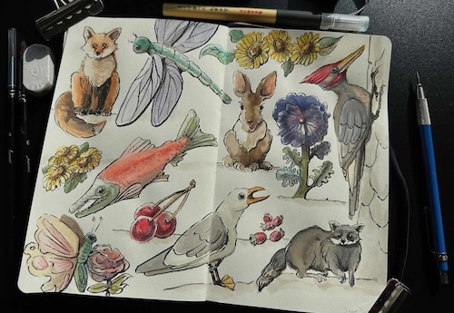 Final-Doodles-in-Colou