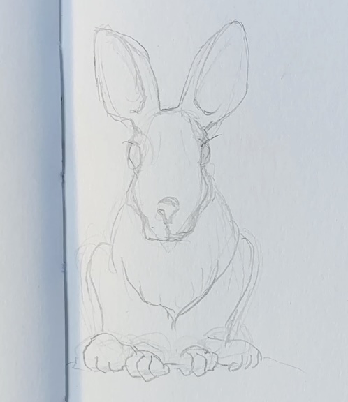 Hare-Pencil-Drawing