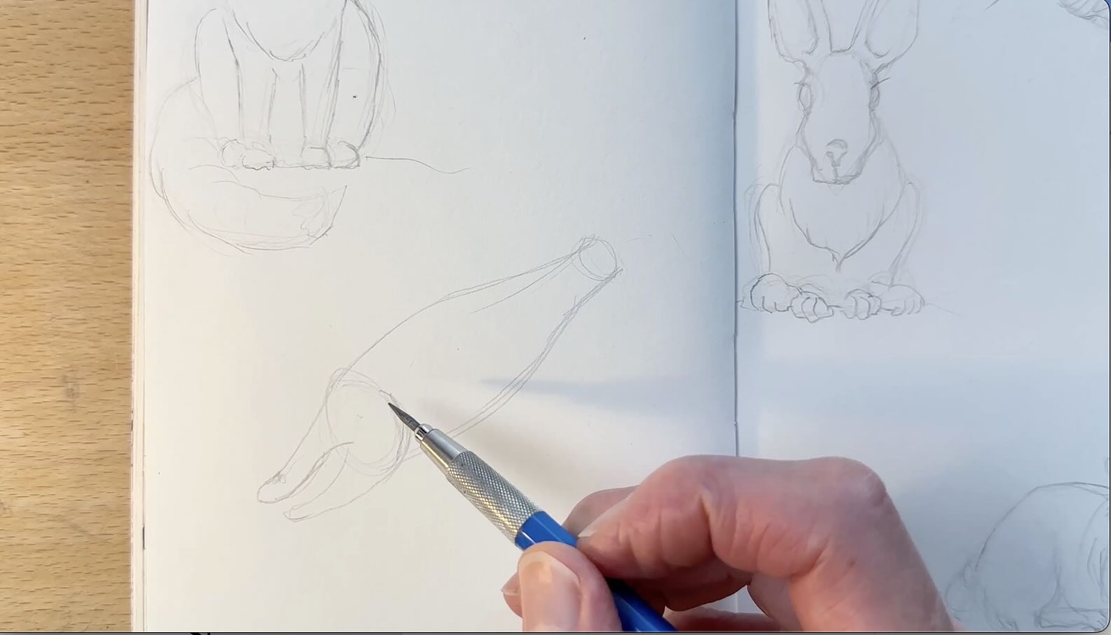 Salmon-Pencil-Drawing