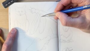 Dragonfly-Pencil-Drawing