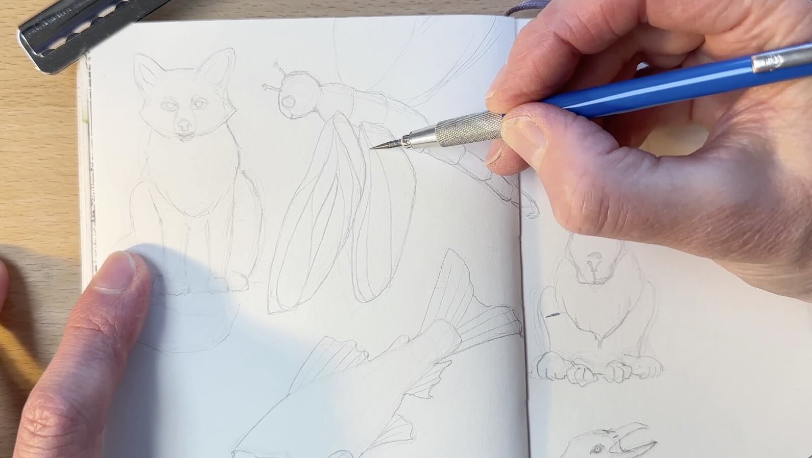 Dragonfly-Pencil-Drawing