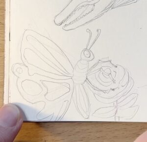 Butterfly-Pencil-Drawing