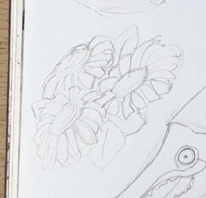 Daisies-Pencil-Drawing