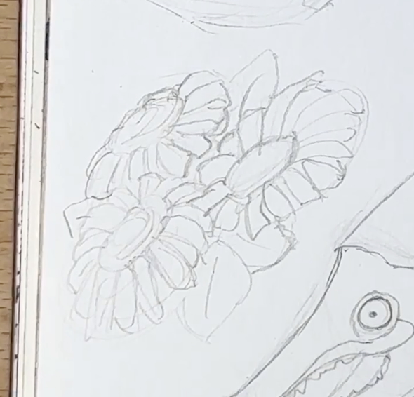 Daisies-Pencil-Drawing