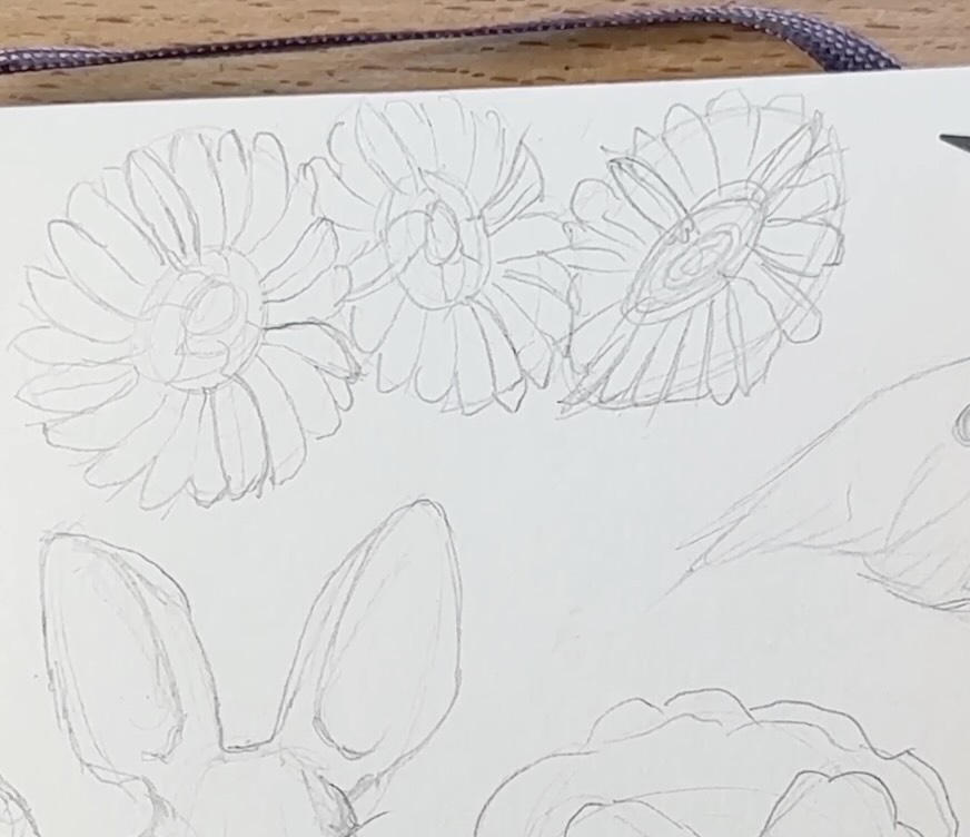 Daisies-Sketch