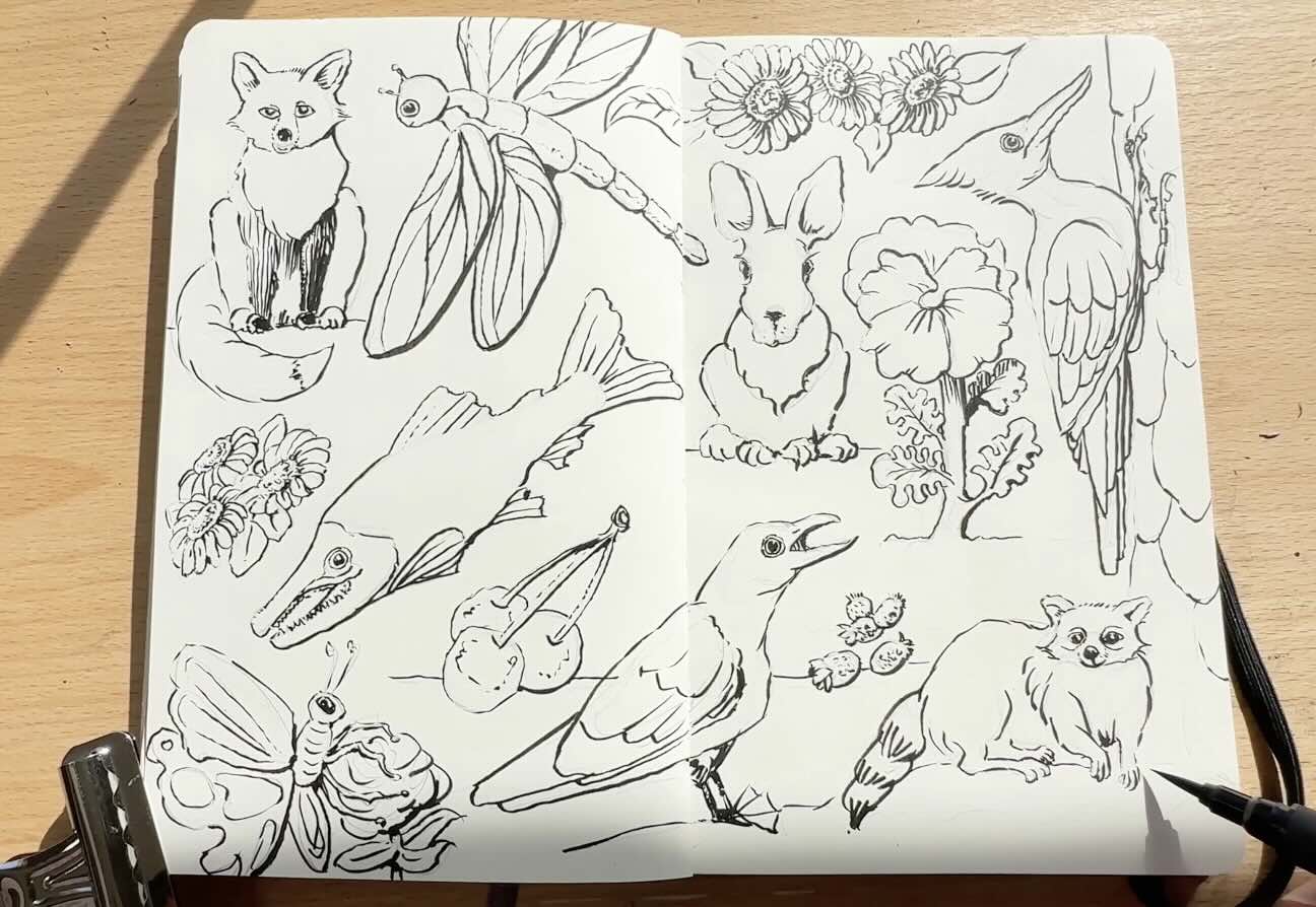 Sketchbook-Animal-Lineart