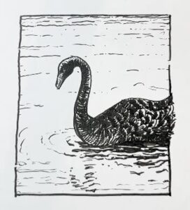 Squiggles-pond-image