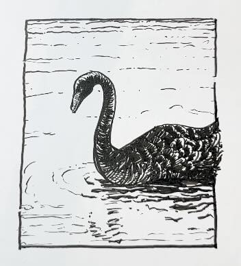 Squiggles-pond-image