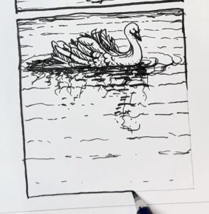 Swan-reflection-image