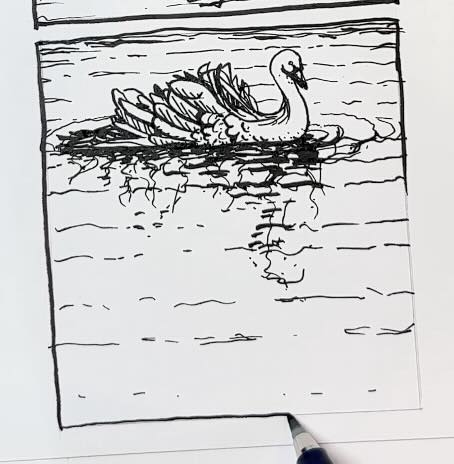 Swan-reflection-image