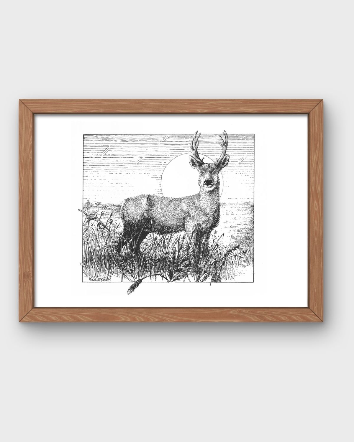 Deer-Framed