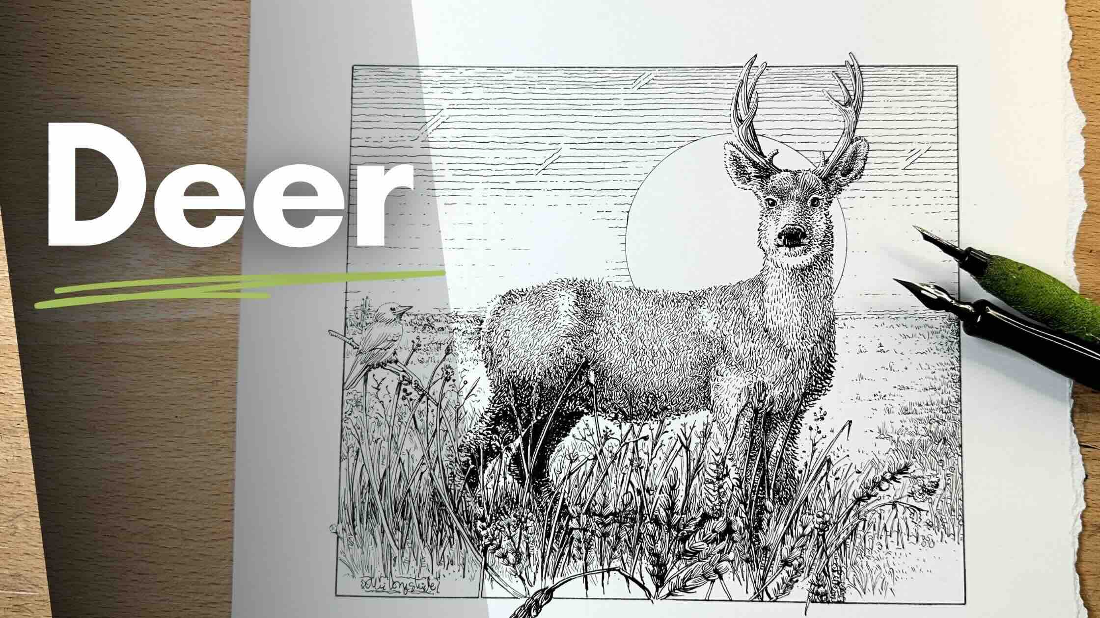 Deer-Tutorial-Blog