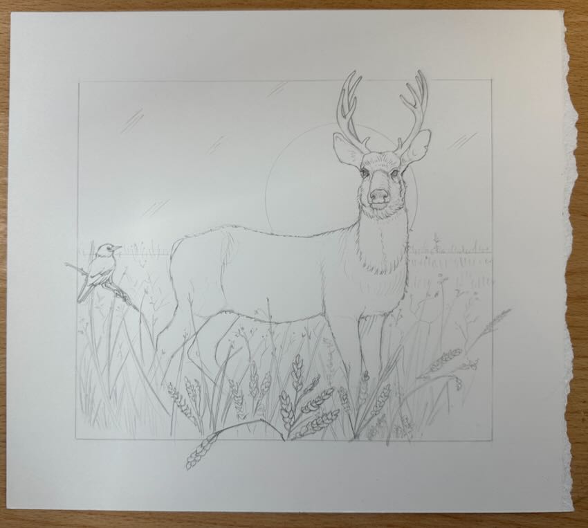 Deer-Drawing-with-Field