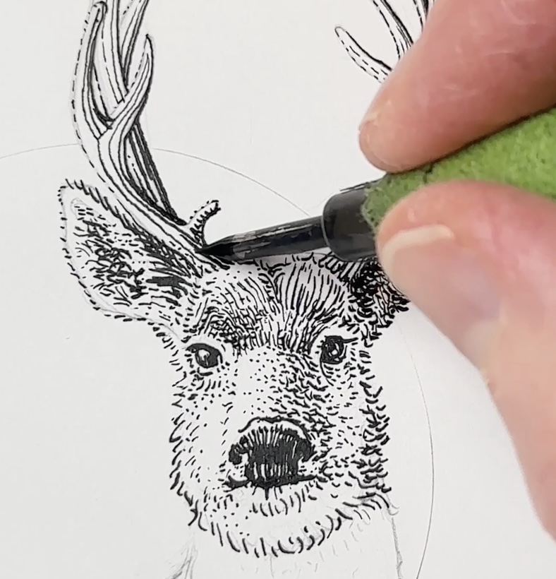 Deer-Face-Antlers