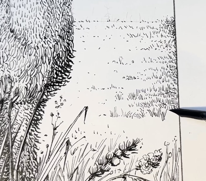 Variety-in-the-Field