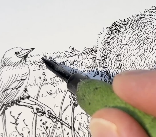 Contrast-Near-the-Tail